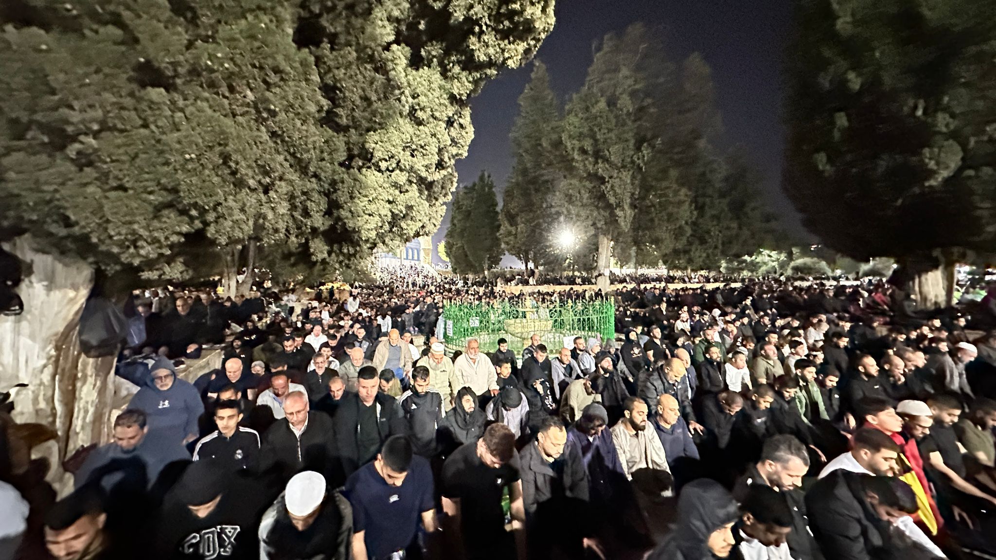 WhatsApp Image 2024-04-06 at 7.53.29 AM.jpeg